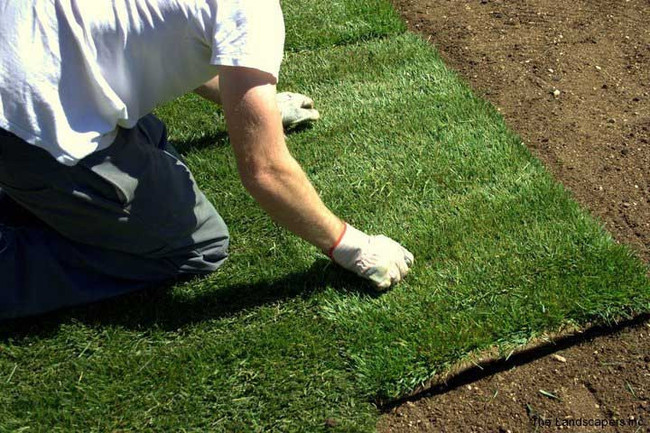 A1 Quality Sod — photo 1 of 4