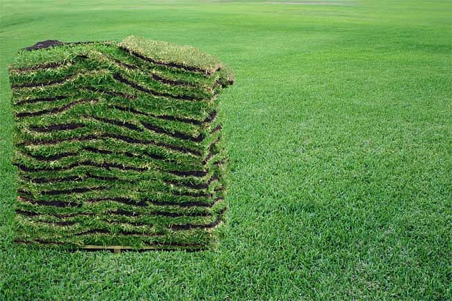A1 Quality Sod — photo 2 of 4